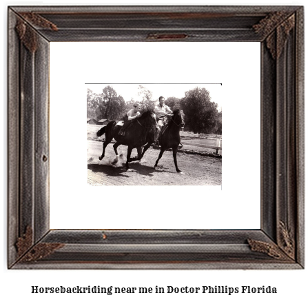 horseback riding near me in Doctor Phillips, Florida